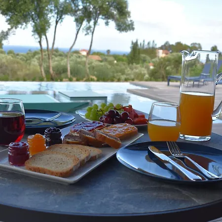 Anemeli スパルティア